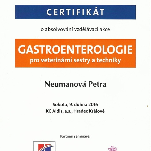 Certifikat Gastroenterologie Neumanova