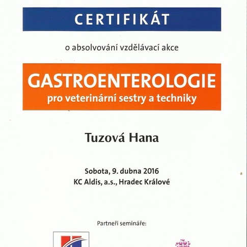 Certifikat Gastroenterologie Tuzova